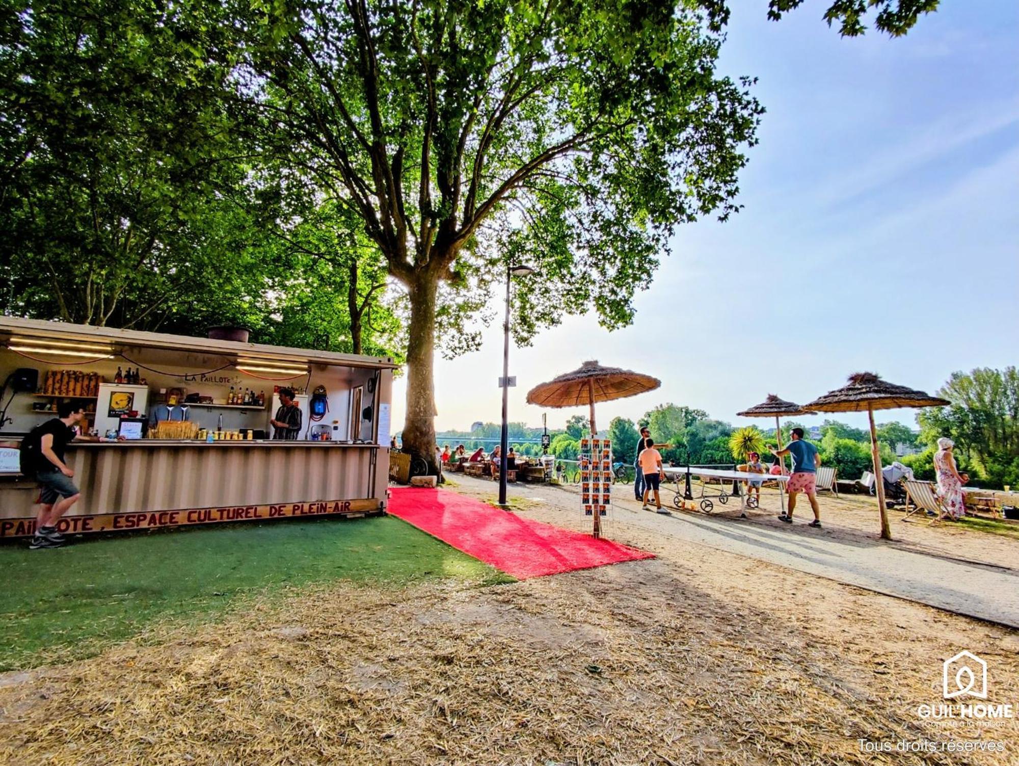 Terrasse Vegetalisee - Climatisation - Local Velo - Parking Gratuit Dans La Rue オルレアン エクステリア 写真