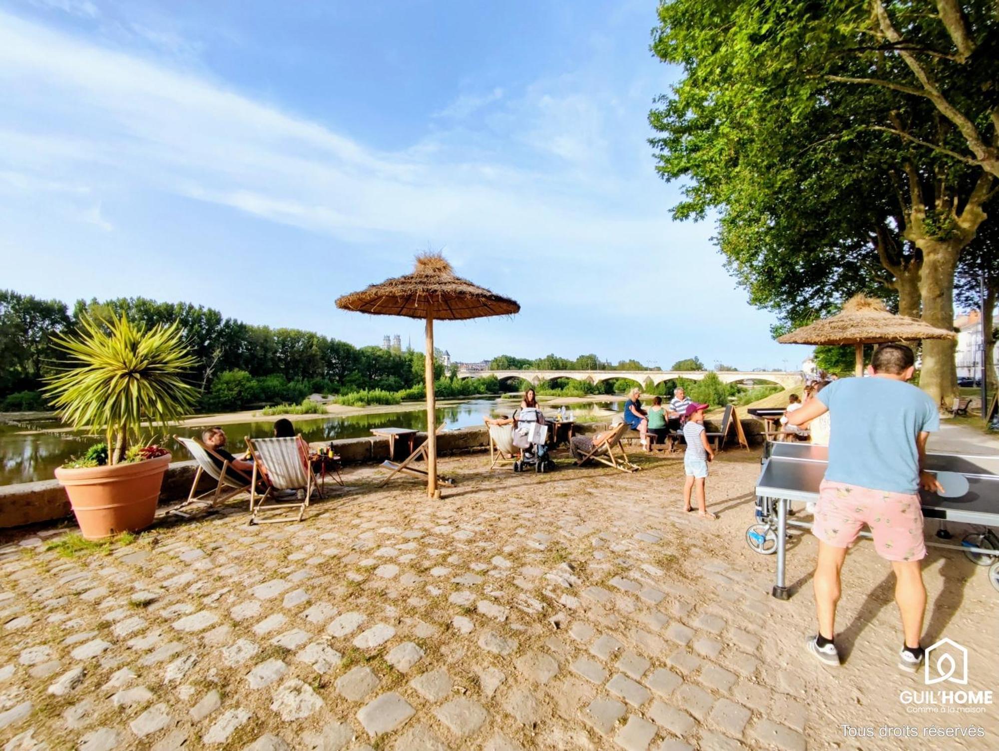 Terrasse Vegetalisee - Climatisation - Local Velo - Parking Gratuit Dans La Rue オルレアン エクステリア 写真
